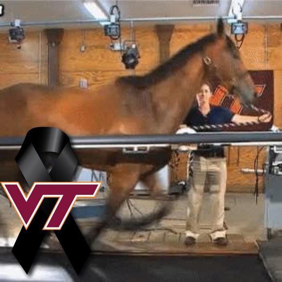 Meet your Posher, Robin mays - Picture 1 of 1